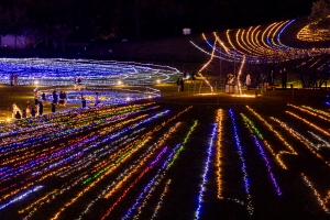 【12/27まで】琴平発着！「まんのう公園イルミネーションツアー」開催中！