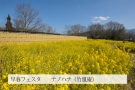 【国営讃岐まんのう公園】3月2日まで早春フェスタ開催中！　