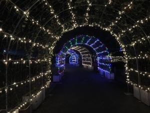 冬のまんのう公園を満喫するこのイベント☆