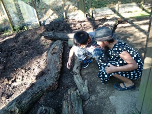 まんのう公園にてサマーフェスタ開催中　※7/29紅梅亭お部屋の空きあり