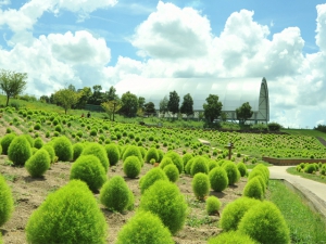 国営讃岐まんのう公園「サマーフェスタ」　　※7月20日（土）　若干空室あります