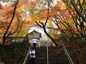 第82番札所 根香寺の紅葉が見頃♪