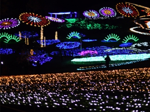 まんのう公園のイルミネーションを見に行こう！！　※12月14日（土）空室あります。