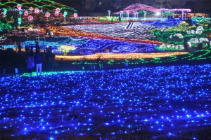 いよいよ明日11/21～【国営讃岐まんのう公園】約60万球のイルミネーションを見に行こう♪