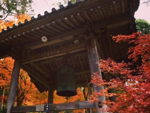 香川県の紅葉スポット　第81番札所【白峯寺】　紅葉が見頃です♪