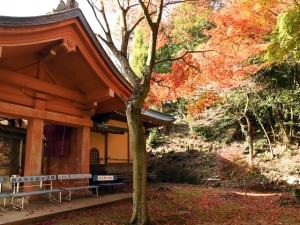 香川の紅葉スポット　第82番札所【根香寺】　