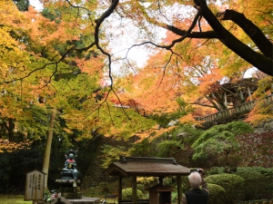 香川の紅葉スポット　第82番札所【根香寺】　