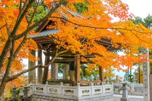 【もみじ寺】四国霊場第66番札所　雲辺寺★紅葉が見頃です♪