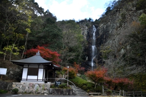 【不動の滝カントリーパーク】紅葉見頃でした