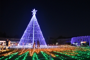 1/10まで開催【国営讃岐まんのう公園】約60万球のイルミネーションが園内を彩る「ウィンターファンタジー」