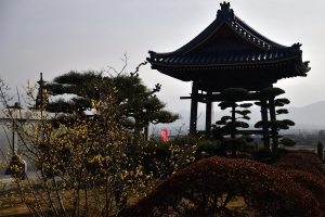 【延命院】今年もロウバイの花が咲き始めています♪