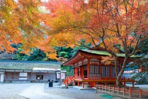 【紅葉スポット】金刀比羅宮★奥社道・白峰神社周辺や裏参道全域の紅葉が素敵♪