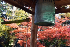 【香川の紅葉スポット】四国霊場第82番札所「根香寺」