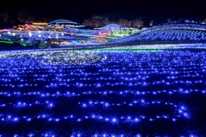 琴平発着！国営讃岐まんのう公園「ウィンターファンタジー」イルミネーションツアー開催！　※約65万球の電球が彩るイルミネーション　幻想的な世界を堪能♪