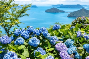 【香川・初夏旅におすすめ】浦島伝説残る荘内半島にある「紫雲出山」から見る瀬戸内海の多島美とあじさい堪能♪