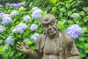 あじさい寺【雲辺寺】で約3万株の紫陽花を満喫♪