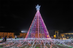 【国営讃岐まんのう公園】11月25日～イルミネーションイベント「ウィンターファンタジー」開催！