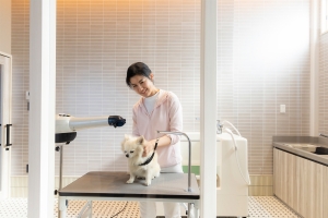 【別邸とら梅】Dog Spa（ドッグ・スパ）の設備があります。