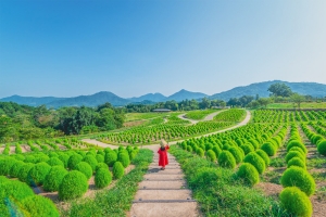 国営讃岐まんのう公園で「サマーフェスタ」開催中！　夏休み家族旅行おすすめスポット情報♪8000本のひまわりや6000本のコキアを鑑賞♪