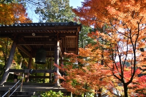 【香川の紅葉スポット】四国霊場第81番札所　白峯寺