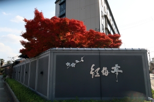 【紅梅亭の紅葉も見頃になりました】12月7日、14日空室あります