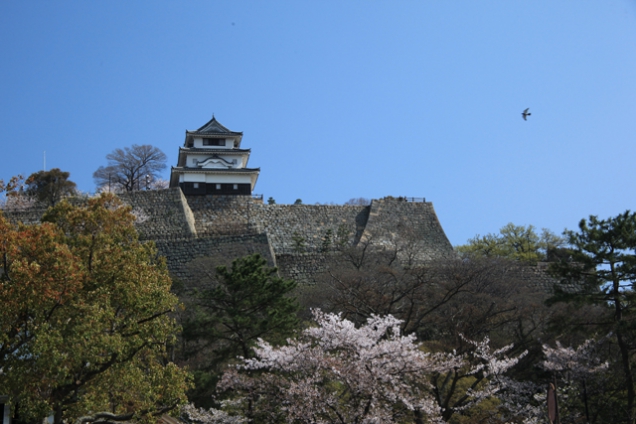 香川県観光情報　「丸亀城」