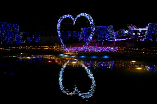 まんのう公園にて、ロマンチックな楽しい夜