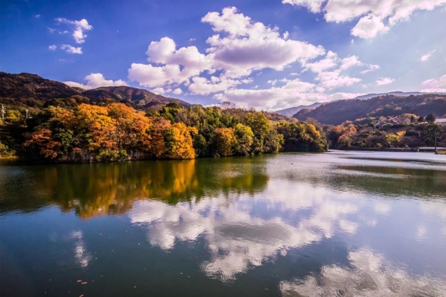 【香川の紅葉スポット】戸川ダム公園