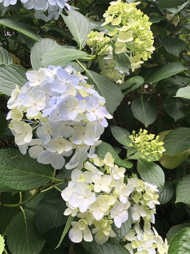 【お客様アンケート】うどんプレゼント ※5月分当選者発表！