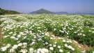 ＧＷはぜひ香川県へ♪　紅梅亭5月6日（土）空室あり