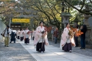 11月10日は　こんぴらさんの紅葉祭