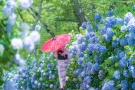 【香川・初夏旅におすすめ】浦島伝説残る荘内半島にある「紫雲出山」から見る瀬戸内海の多島美とあじさい堪能♪