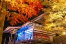 【もみじ寺・雲辺寺】紅葉スポット　※例年10月下旬～11月上旬が見頃